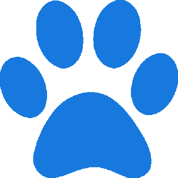 paw